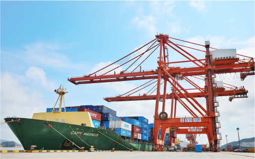 新得利状元岙港务分公司