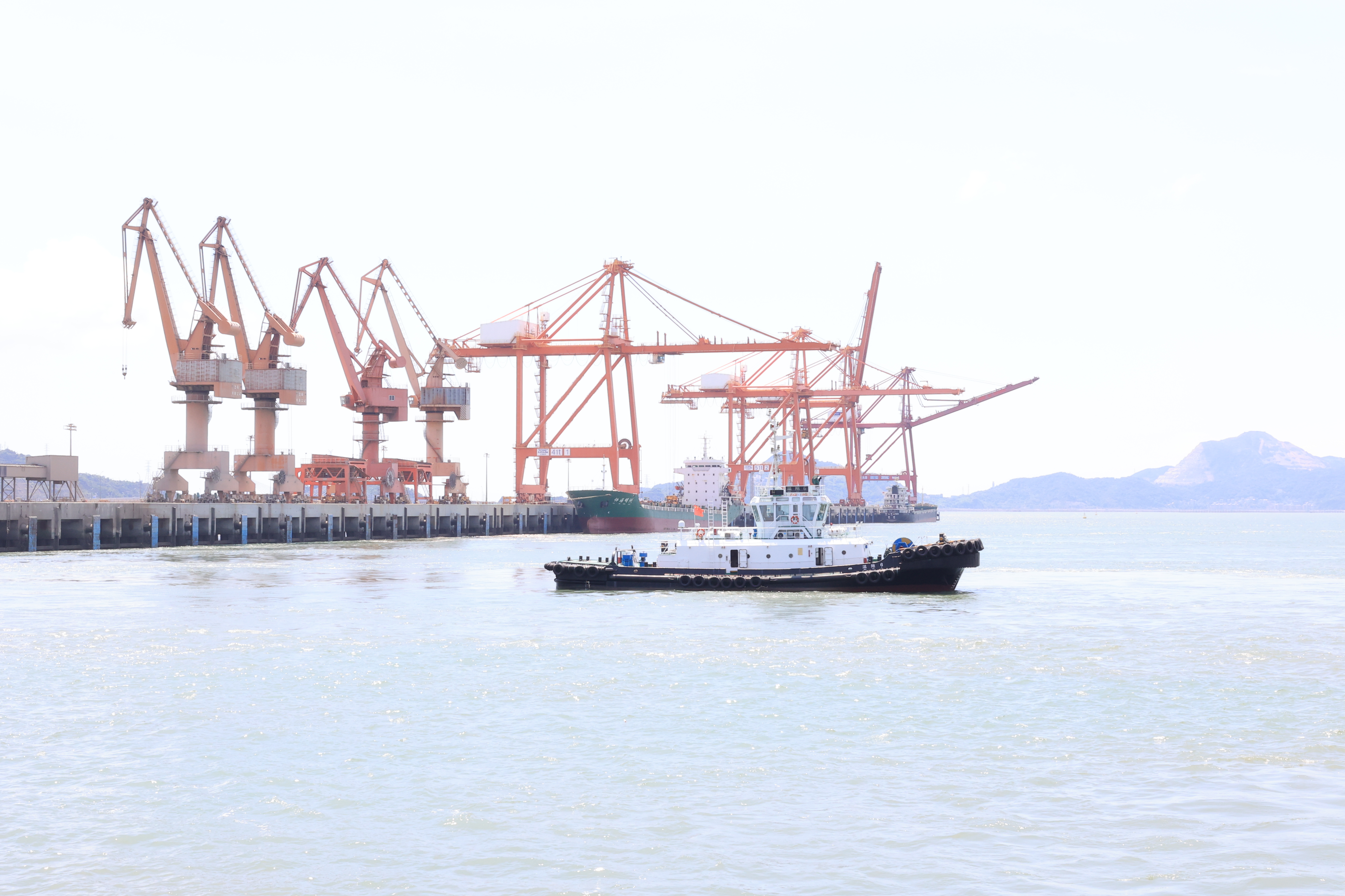 新得利·(中国)有限公司官网