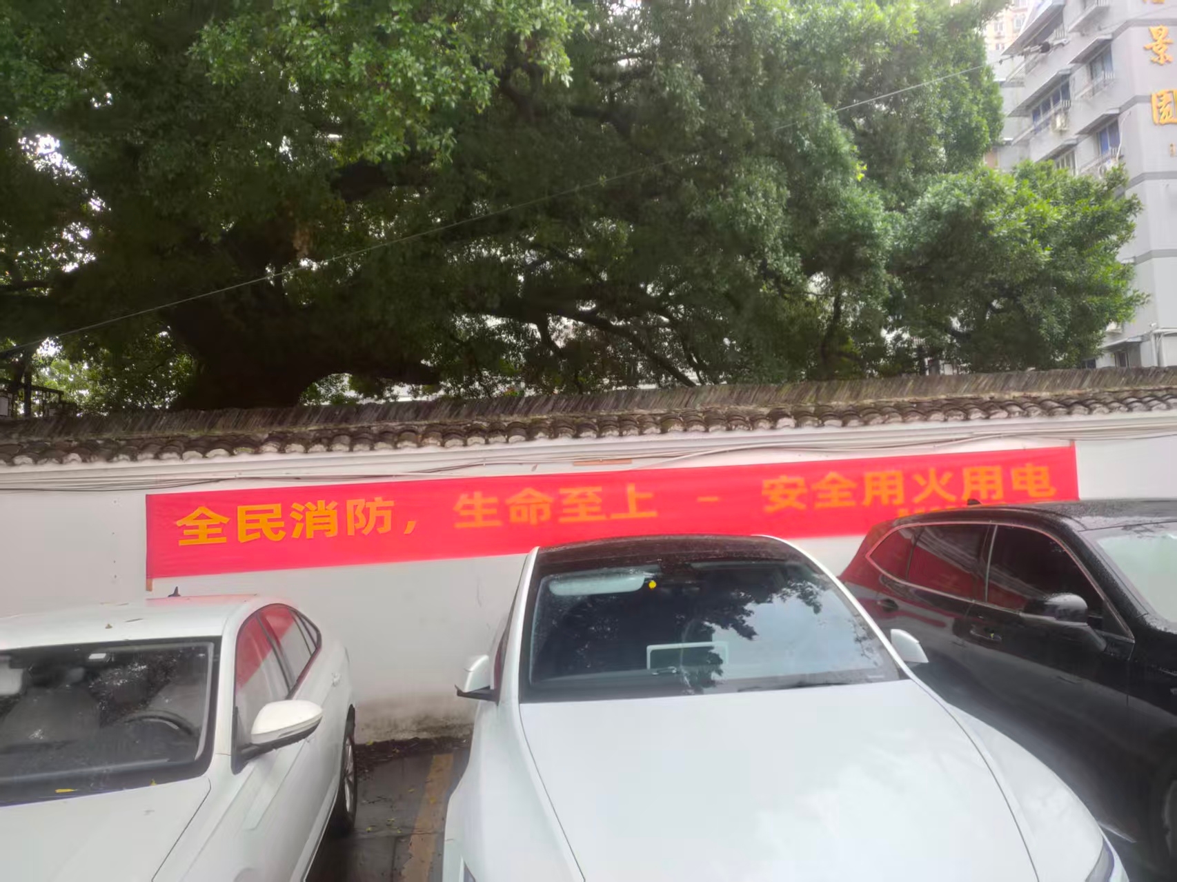 新得利·(中国)有限公司官网