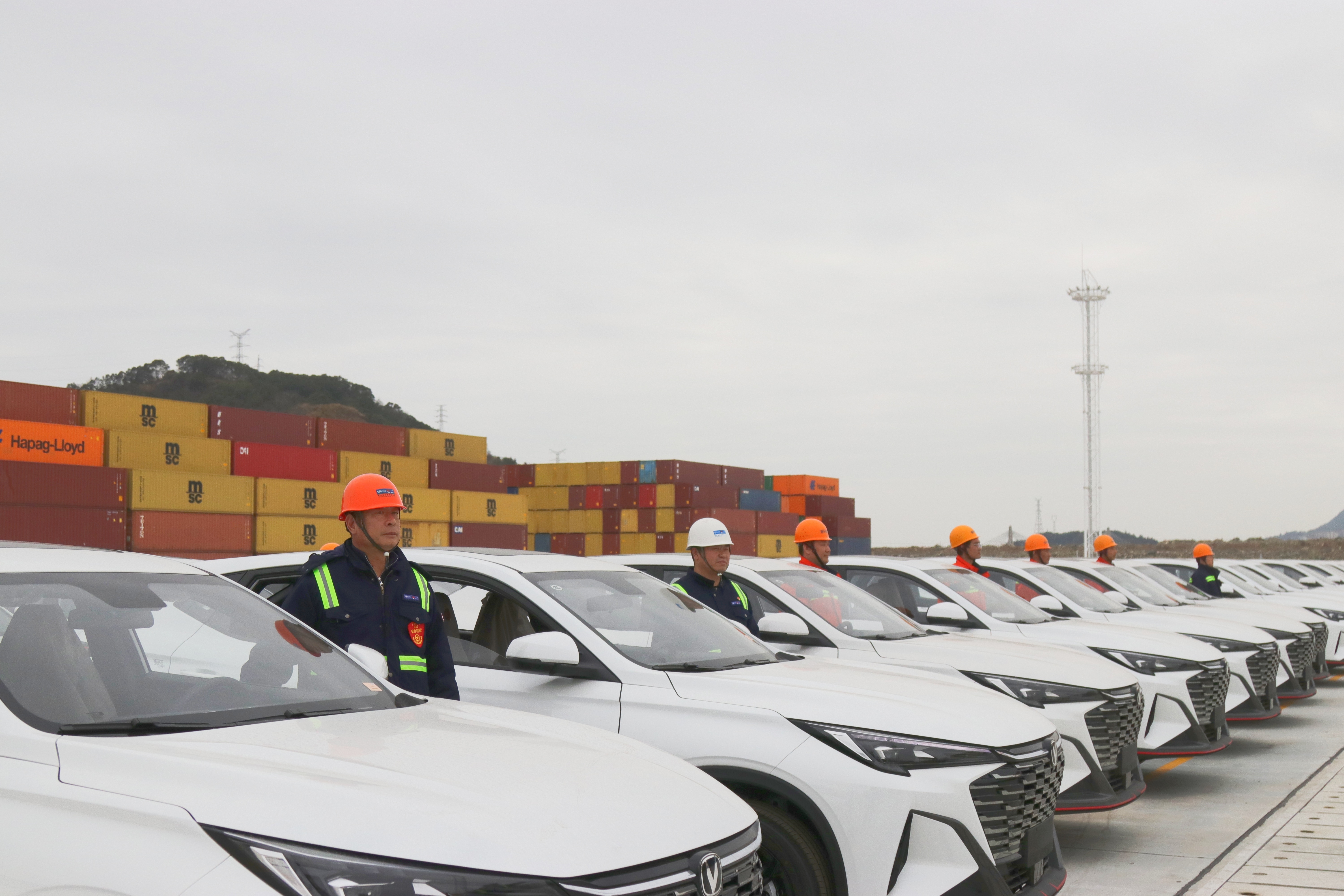 新得利·(中国)有限公司官网