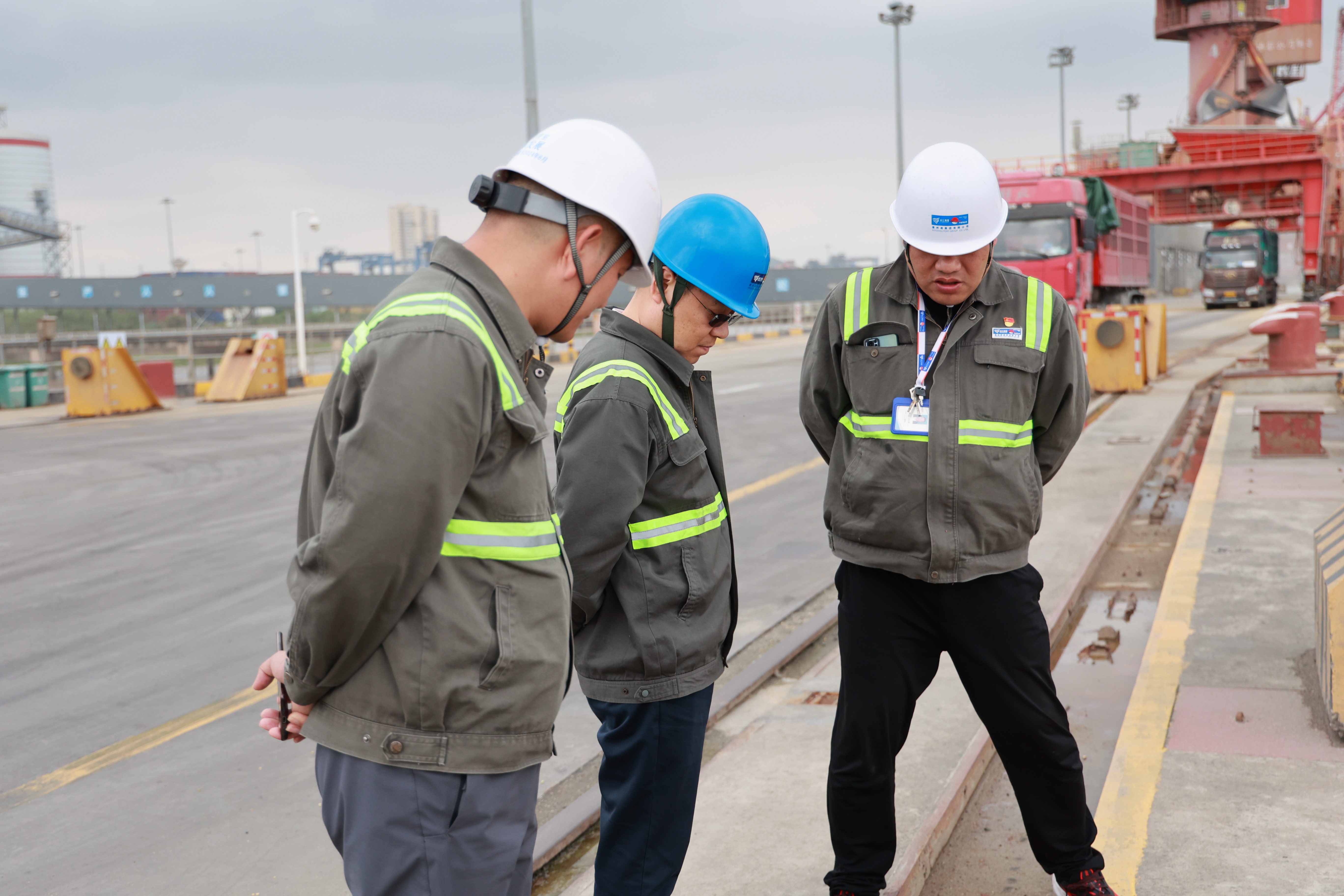 新得利·(中国)有限公司官网