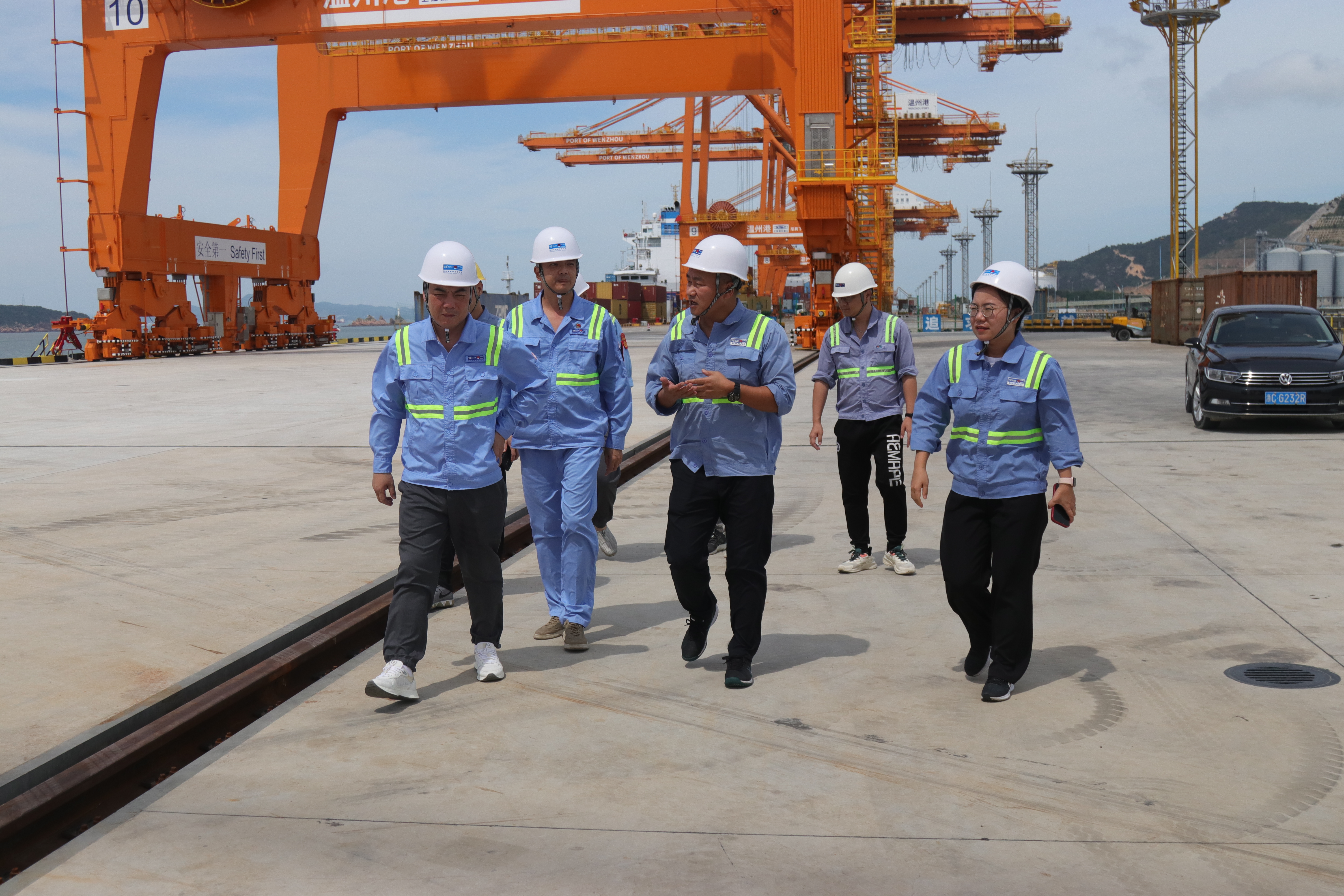 新得利·(中国)有限公司官网