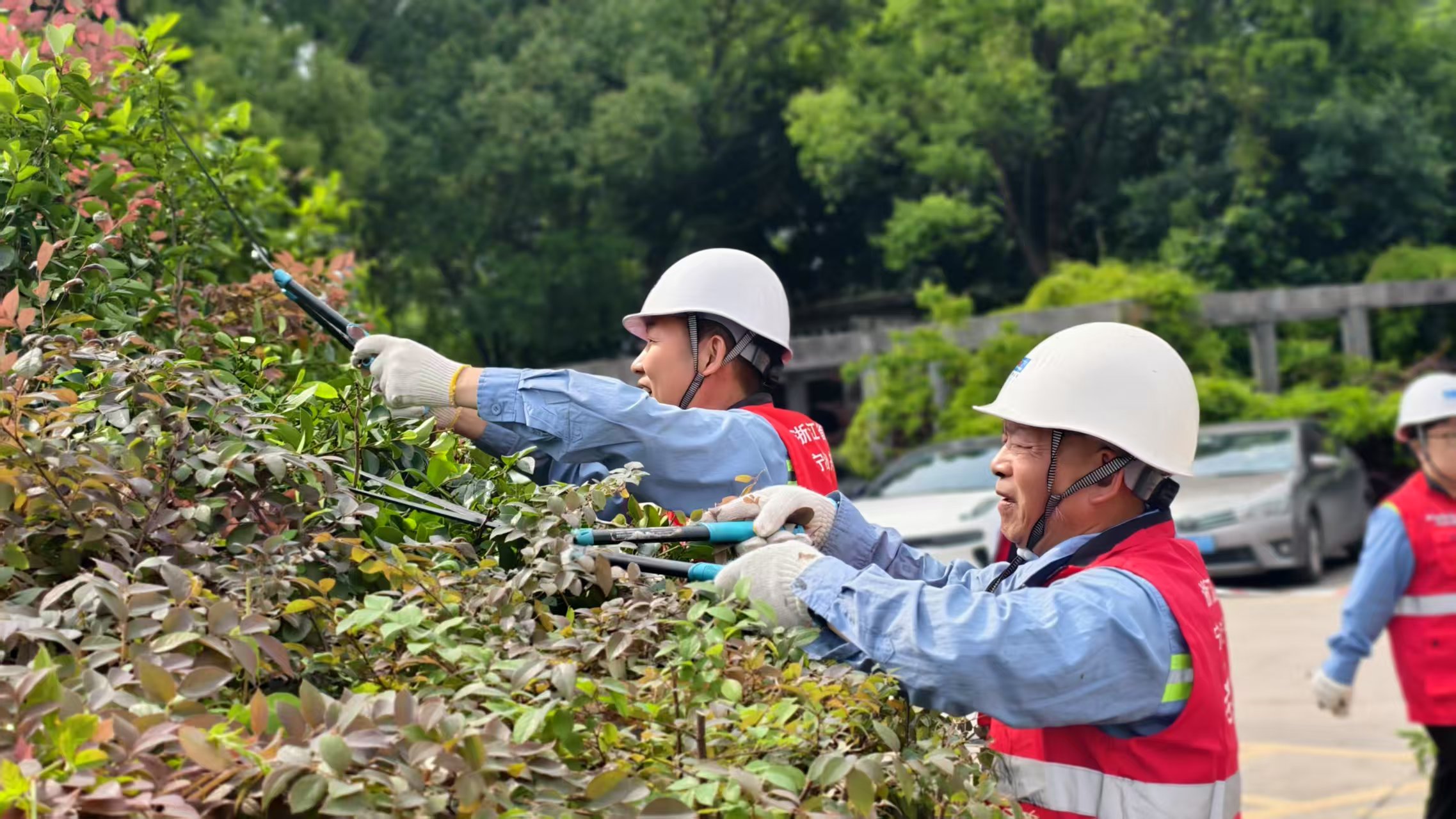 新得利·(中国)有限公司官网