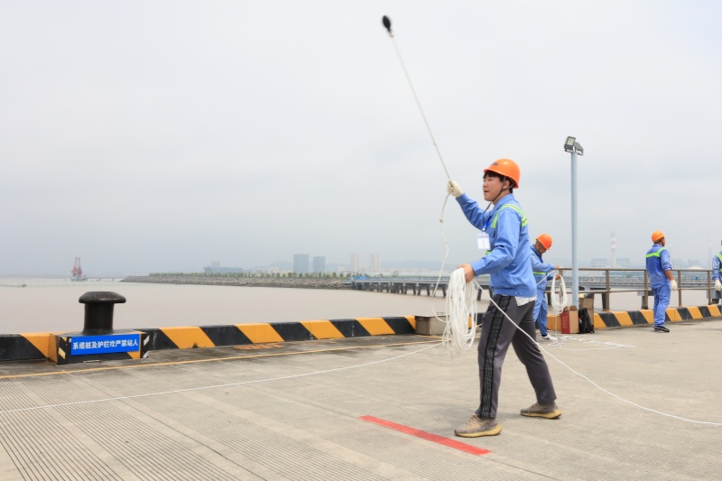 新得利·(中国)有限公司官网