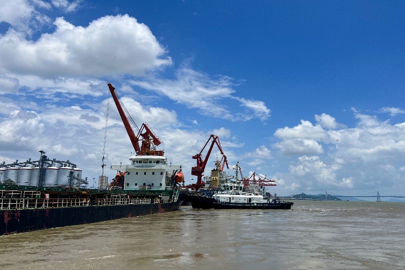 新得利·(中国)有限公司官网