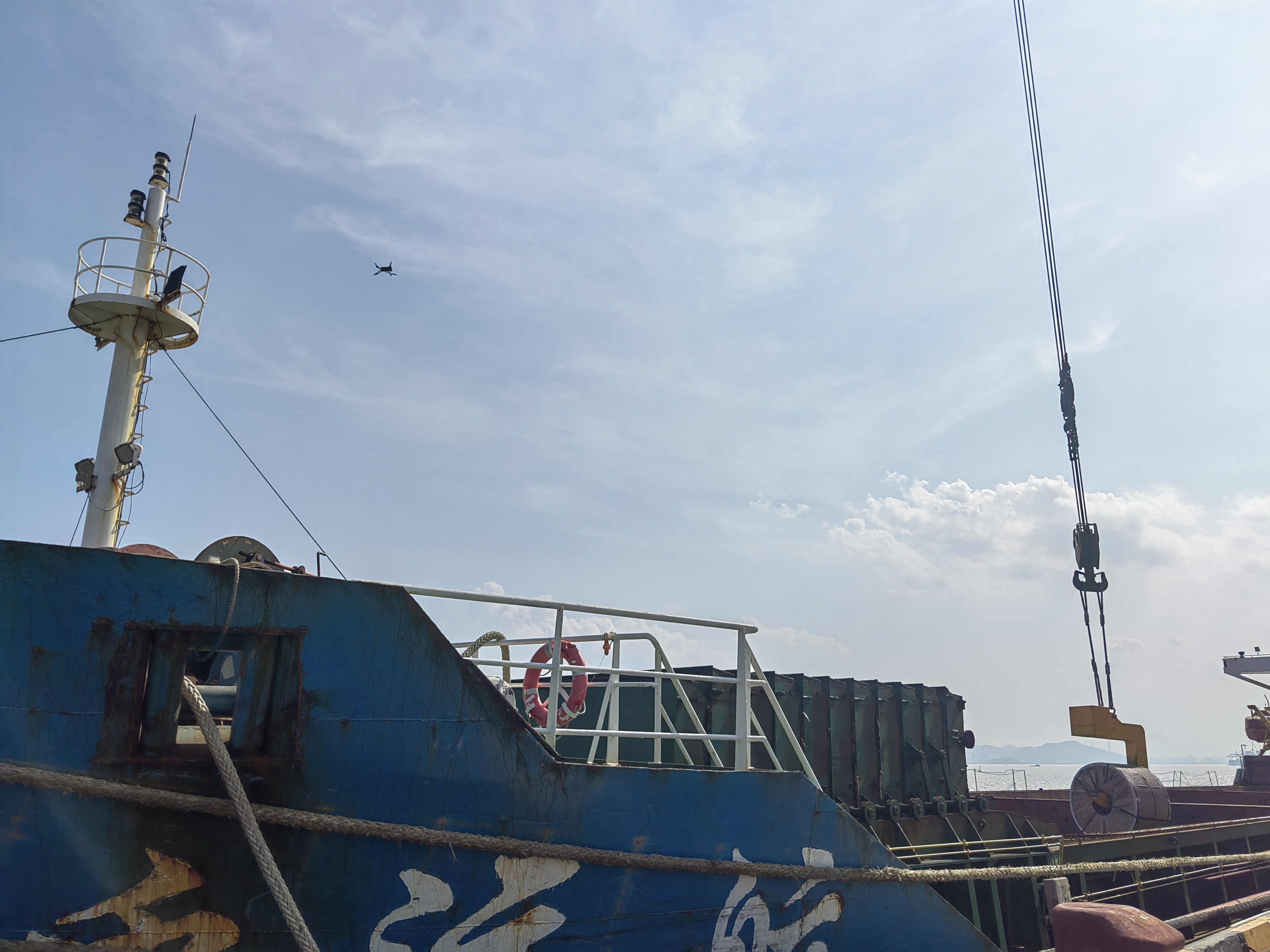 新得利·(中国)有限公司官网